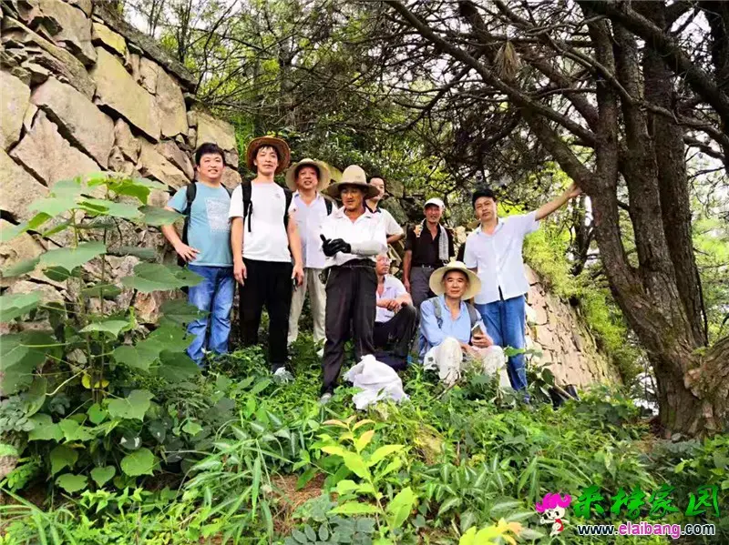 微信图片_20190825210414.webp