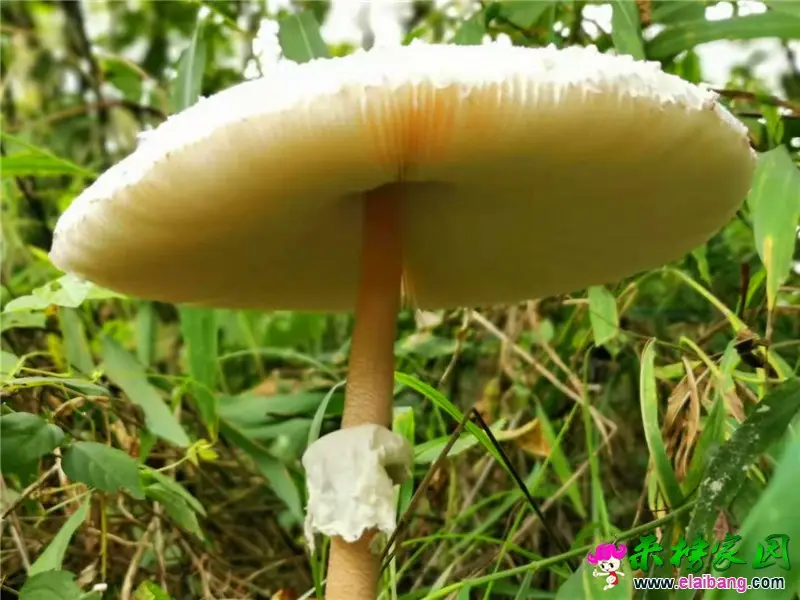 微信图片_20190825211524.webp
