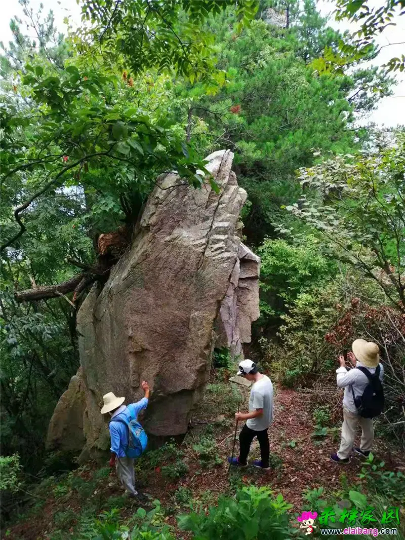 微信图片_20190825211518.webp
