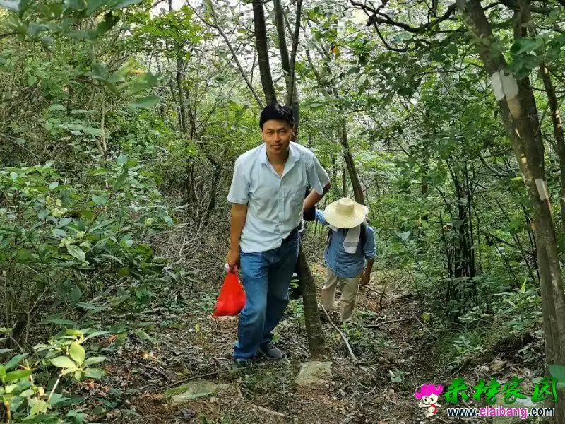 微信图片_20190825211542.webp