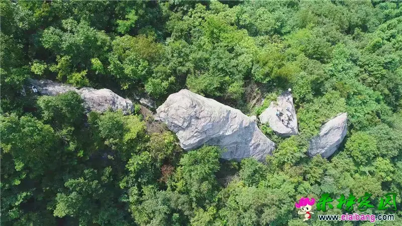 微信图片_20190825211533.webp