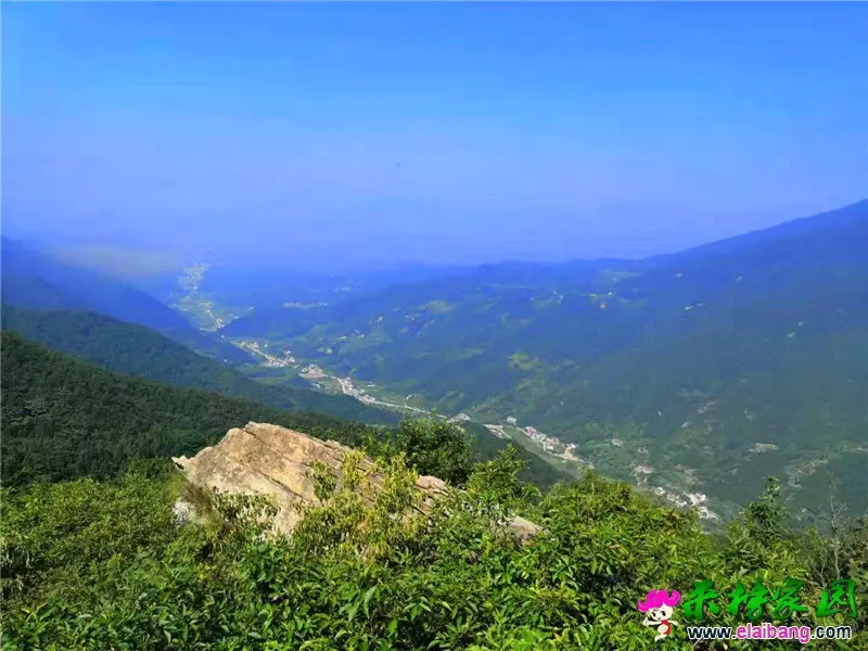 微信图片_20190825211554.webp