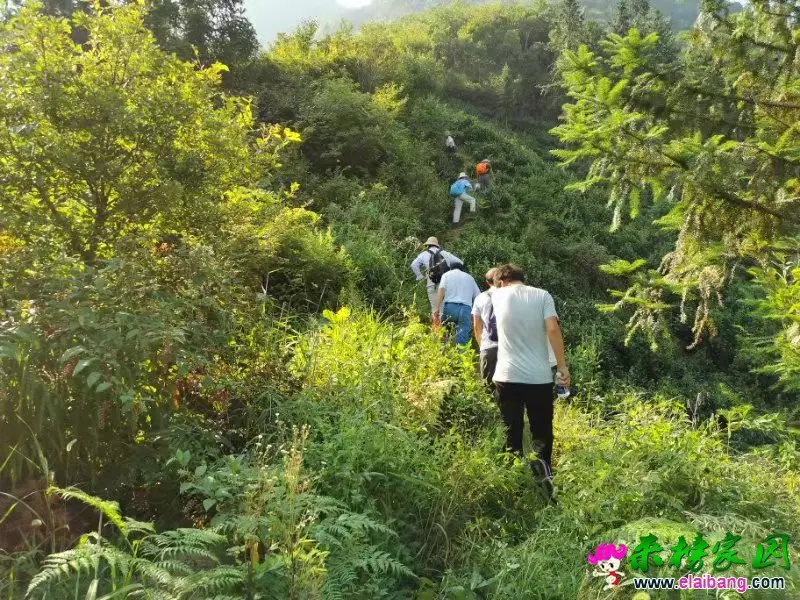微信图片_20190825211545.webp
