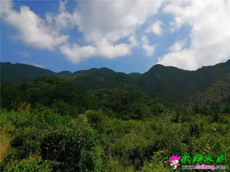 微信图片_20190825213357.webp