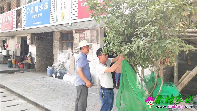 微信图片_20190827205748.webp