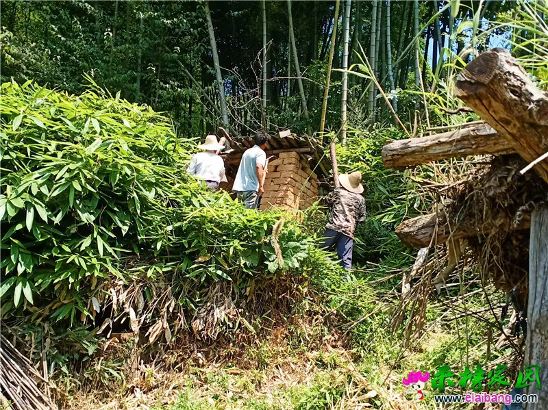 微信图片_20190827205751.webp