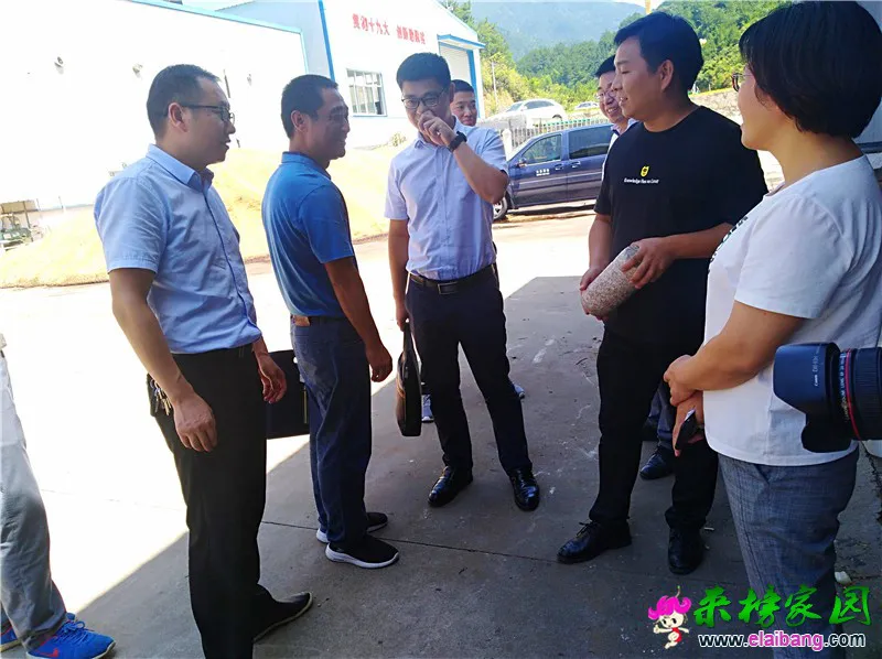微信图片_20190829202438.webp