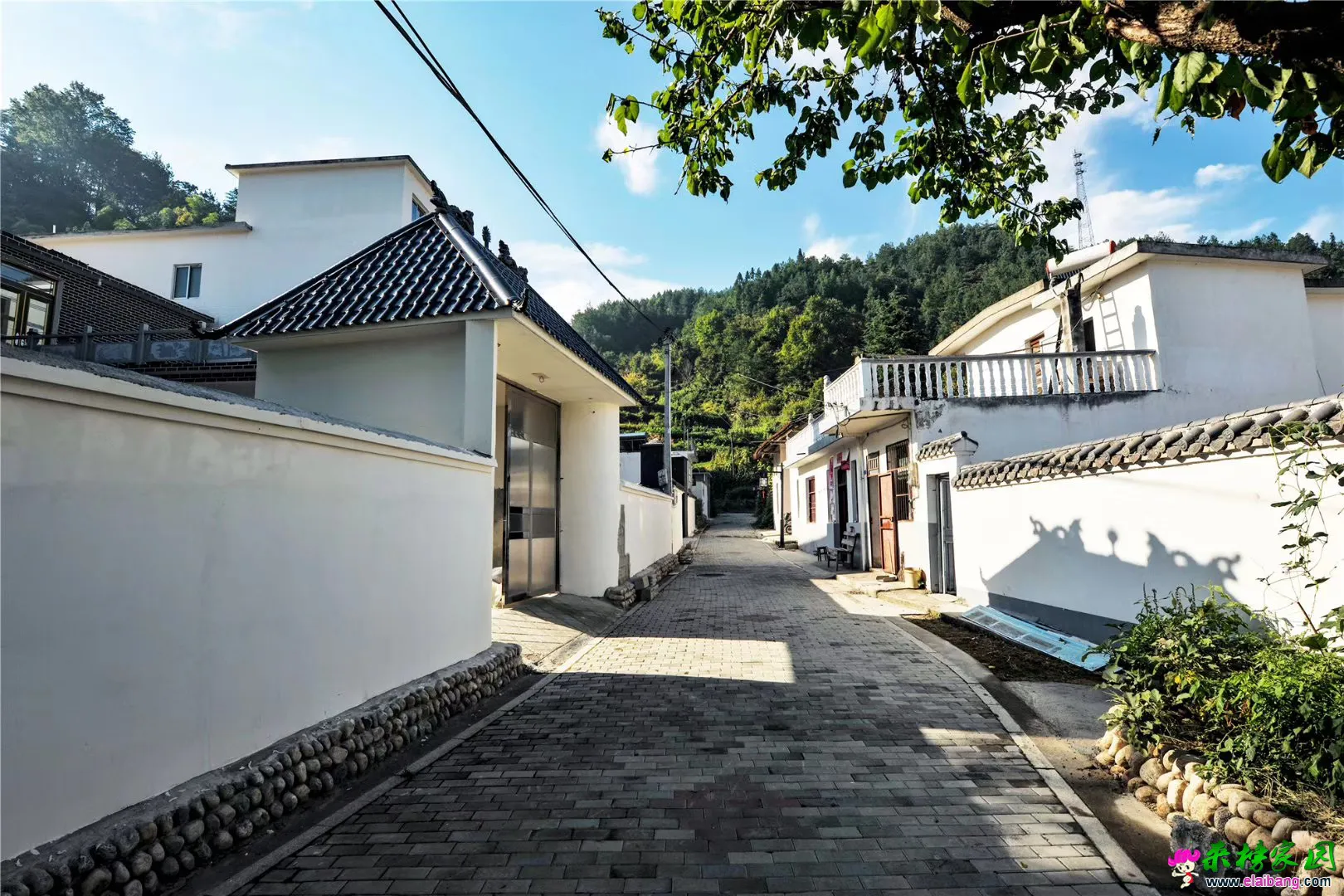 微信图片_20190830101731.webp