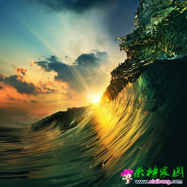 ead6a268ae663d028cc50f9471cb4b81.webp