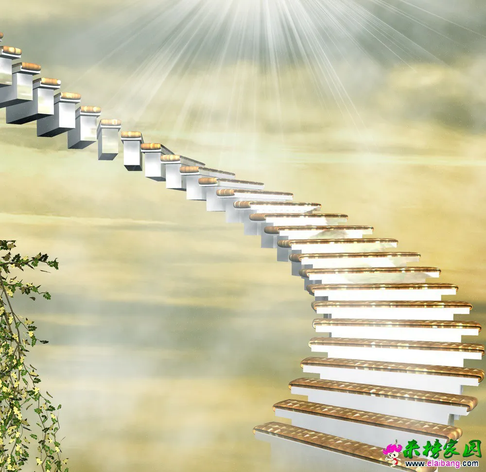 b7c0a5f6e4d2d23803ad9a270314da51.webp