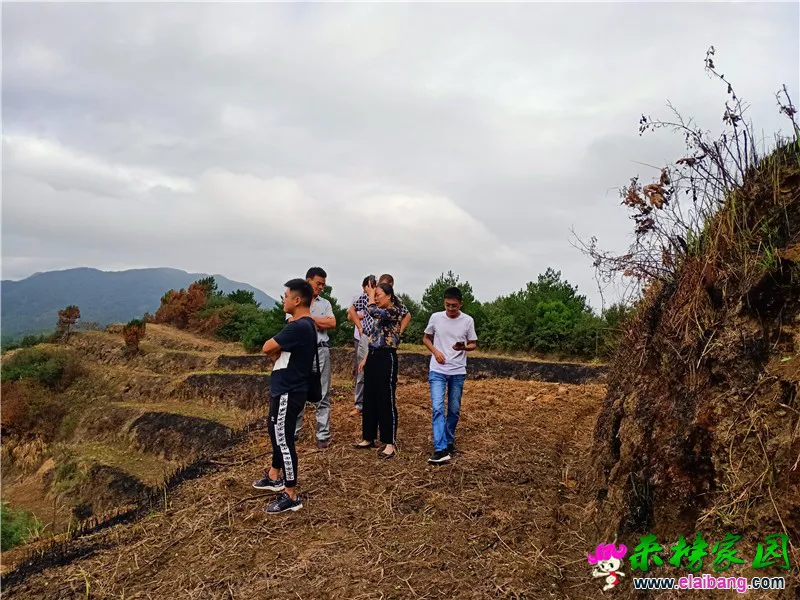 微信图片_20190902194341.webp