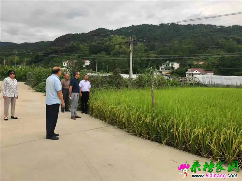 微信图片_20190902194345.webp