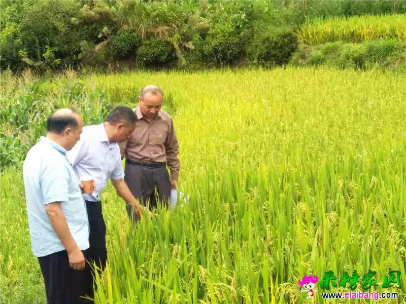 微信图片_20190902194343.webp