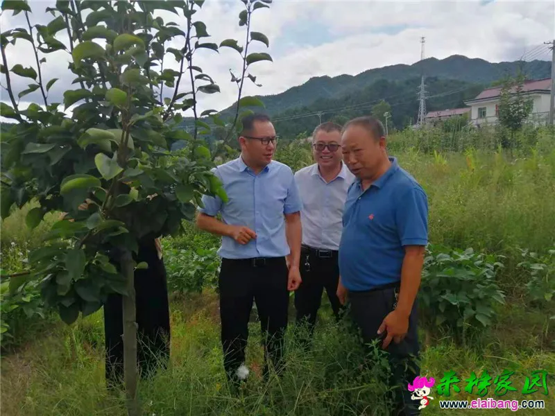 微信图片_20190903210224.webp