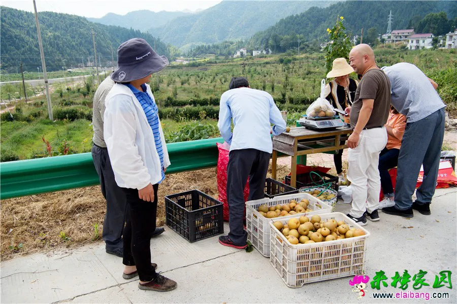 IJH_3990.webp