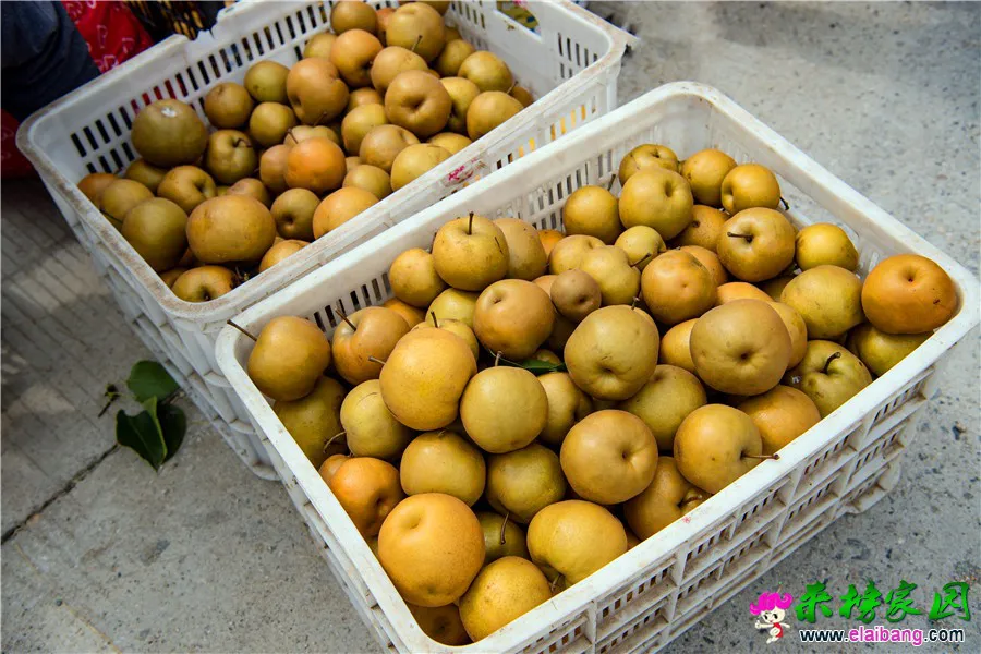 IJH_3991.webp