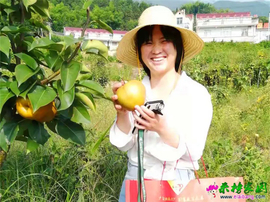 微信图片_20190907214046.webp