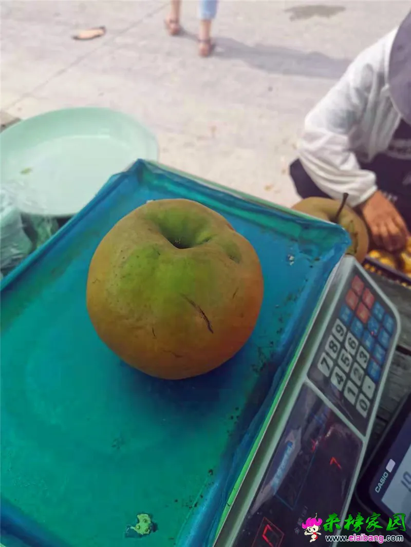 微信图片_20190908220759.webp