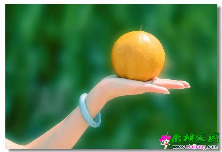 ea733ebc829b4147d4b9c43cffb91870.webp