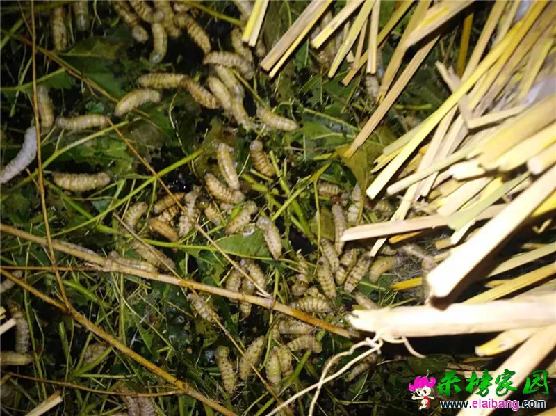 微信图片_20190914211457.webp