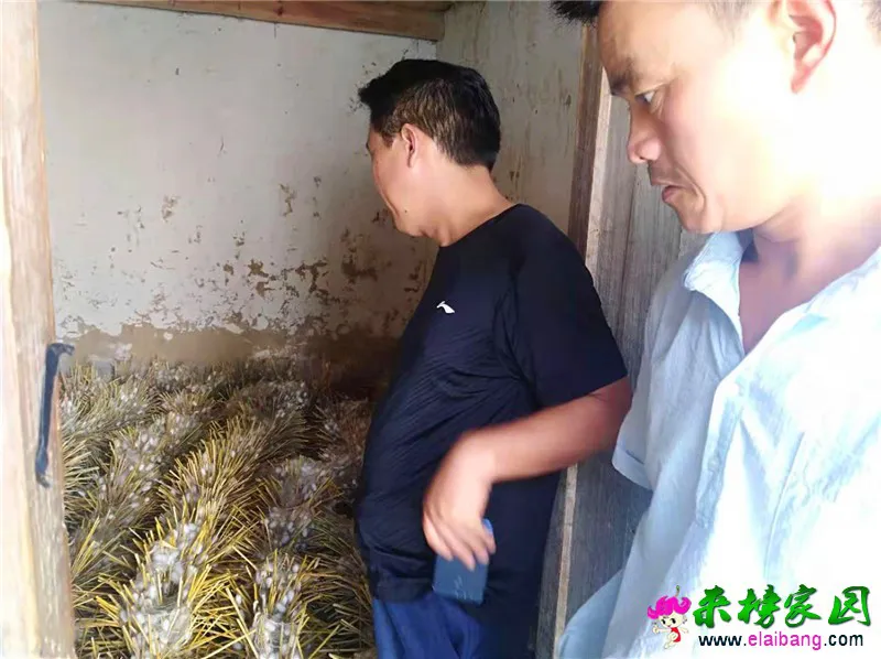 微信图片_20190914211500.webp