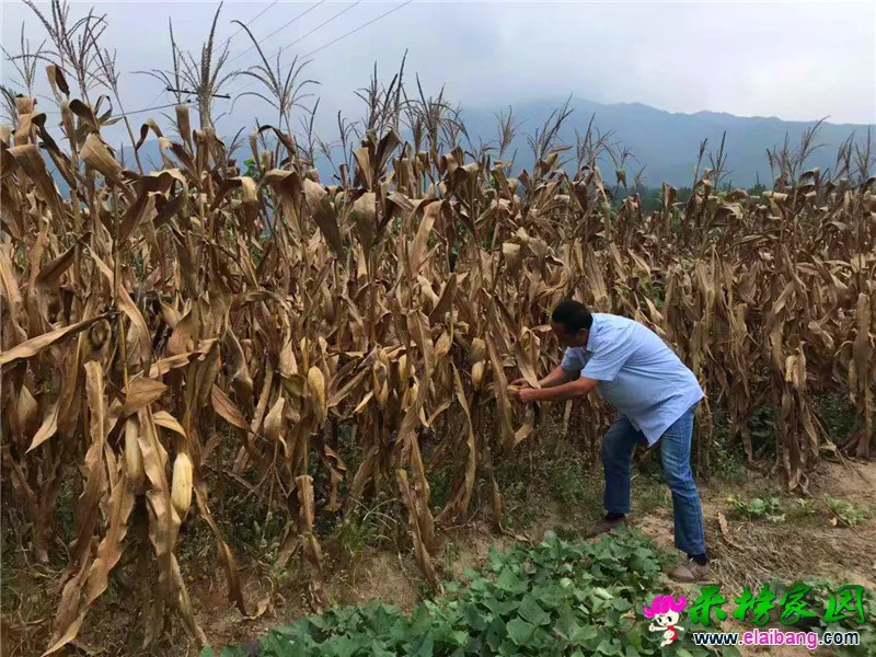 微信图片_20190917200504.webp
