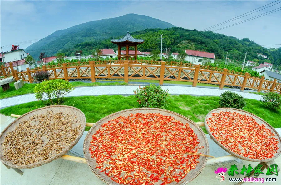 微信图片_20190919202612.webp