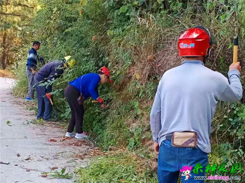 微信图片_20190919214524.webp