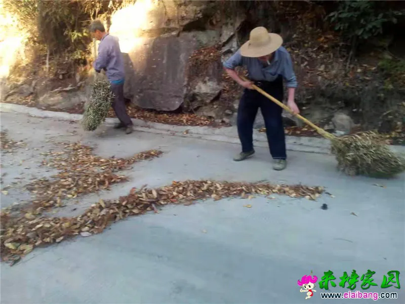 微信图片_20190921214130.webp