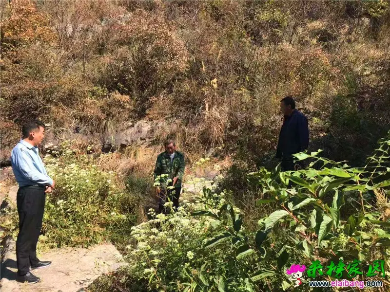 微信图片_20190929180617.webp