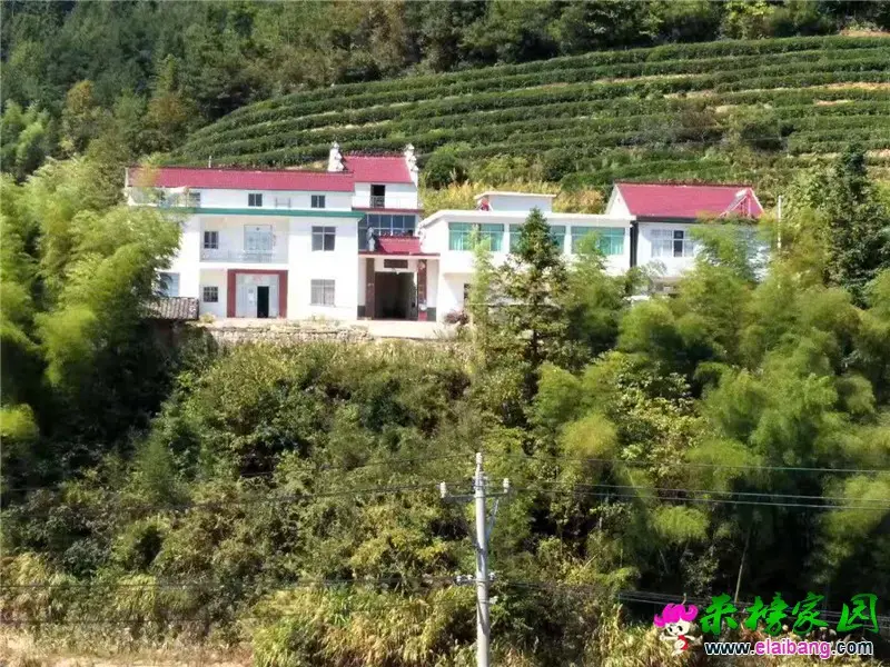 微信图片_20191001215126.webp