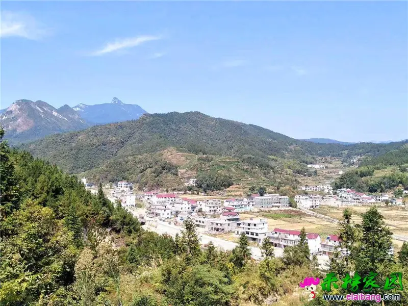 微信图片_20191001215130.webp