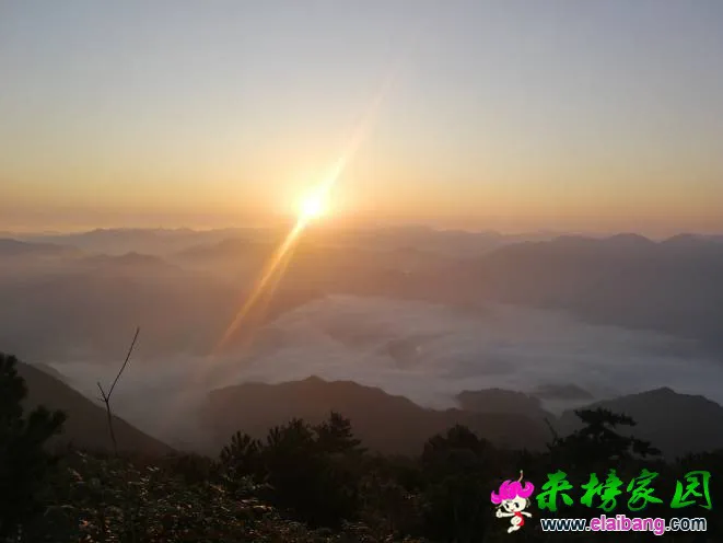 220131yf558urft116i0c0.webp