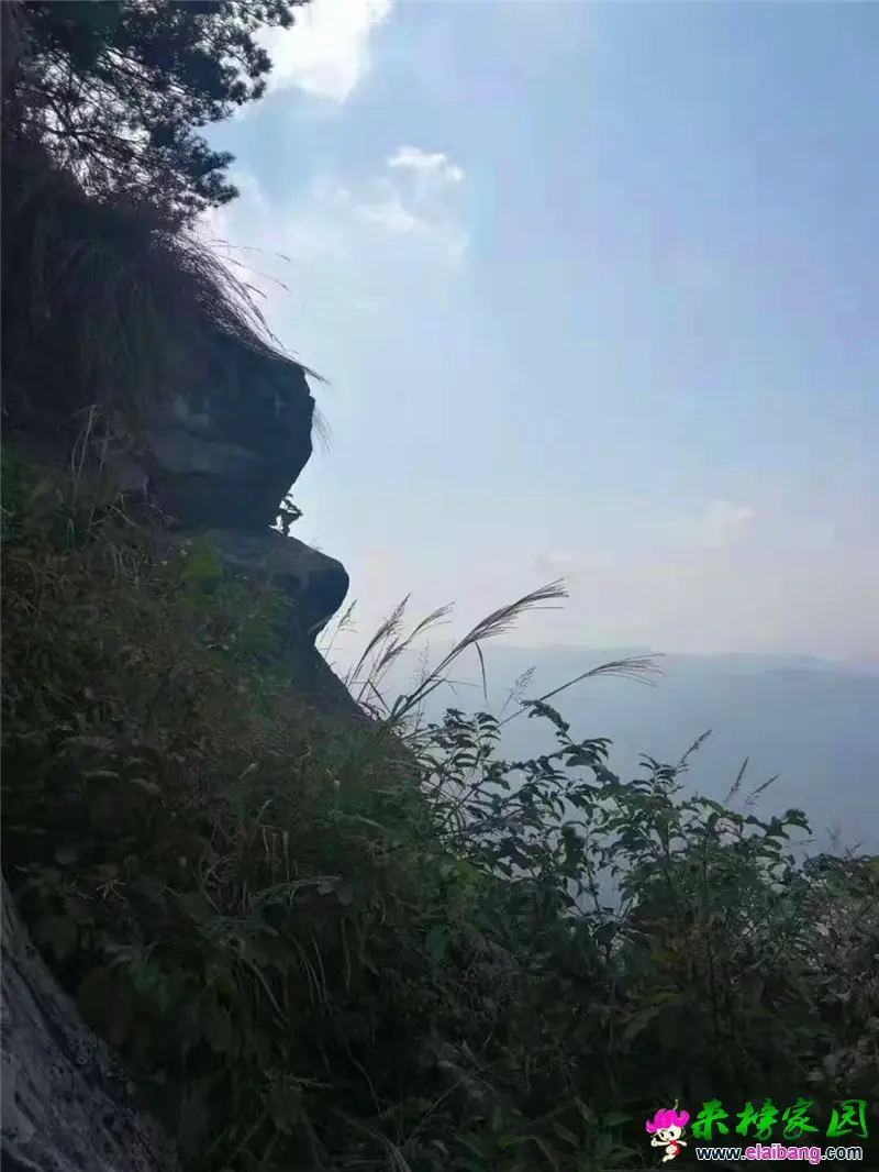 微信图片_20191004202656.webp