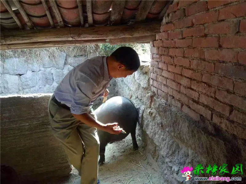 微信图片_20191004205050.webp