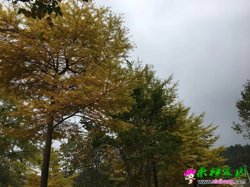 b09eab6311090c4a10a945027993596d.webp