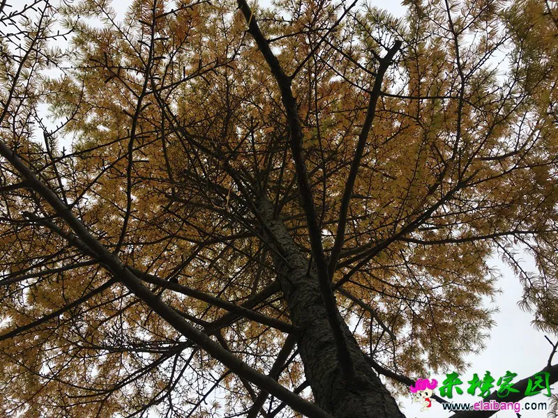 a3796adb472af0c2cc279b5fe9b53fa3.webp