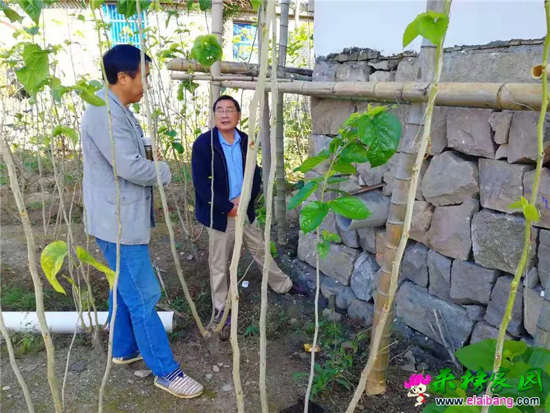 微信图片_20191009170126.webp