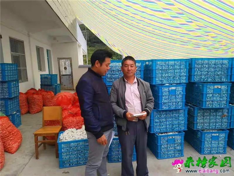微信图片_20191009170156.webp