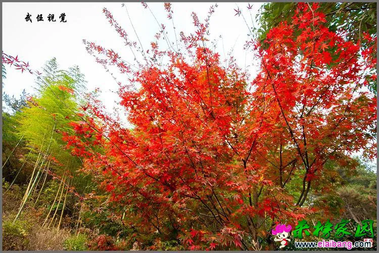 58db83427864193444843c3e2cadbb72.webp