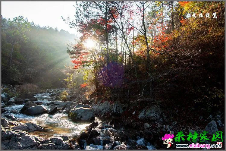 3d3060a7de6d626a2d9bbdcfa825739e.webp