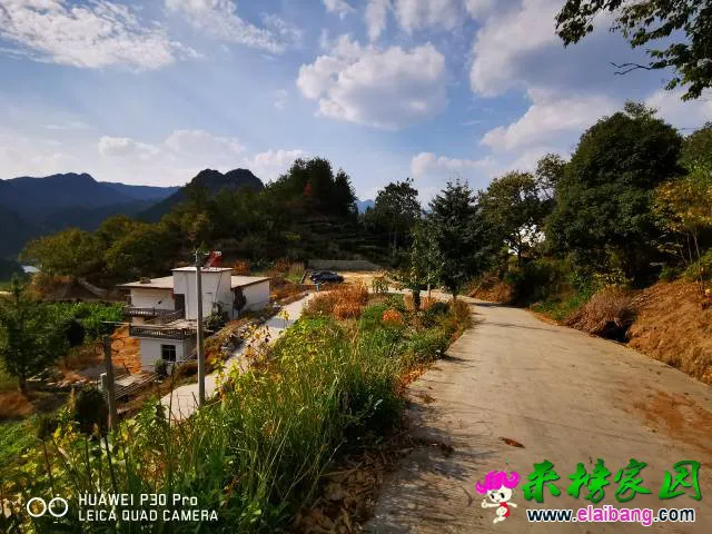 204036qeij4zknsnkdkinu.webp