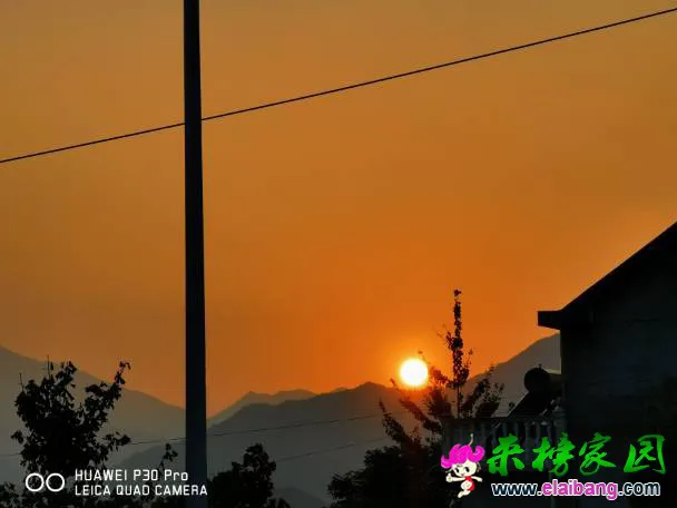 204039hpgn2pnay9baga22.webp