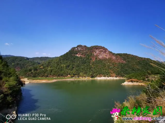 204040f1zruhu1zz80u2uz.webp