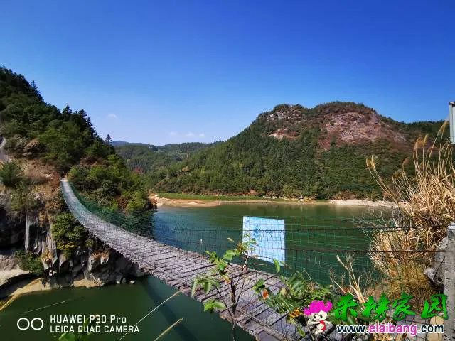 204042usjbmf2zdvjm3jdd.webp