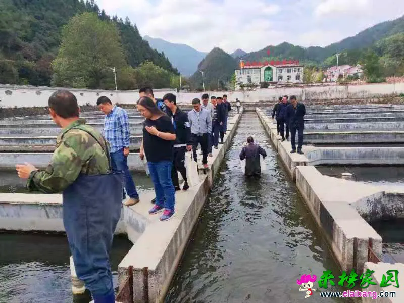 微信图片_20191014205036.webp