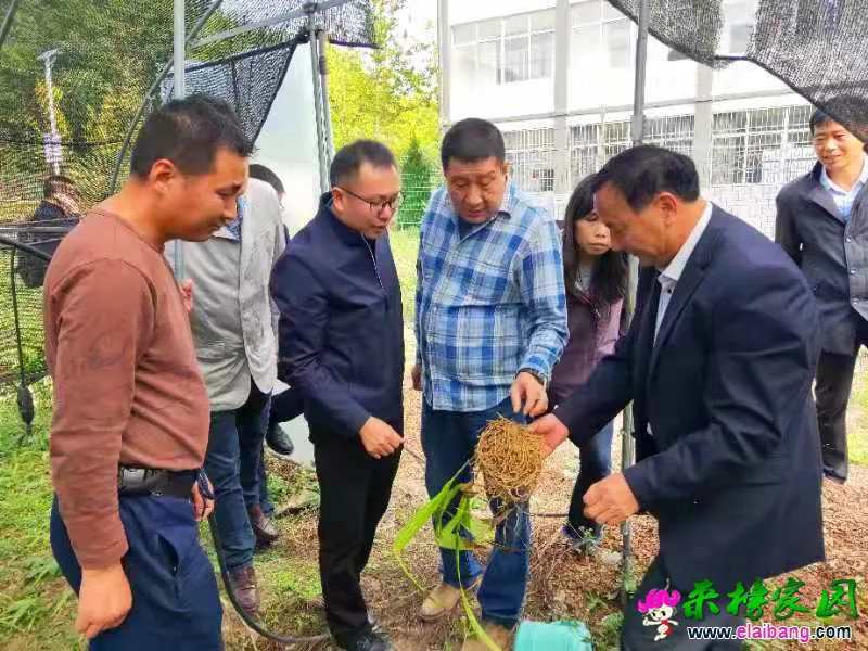 微信图片_20191014205038.webp