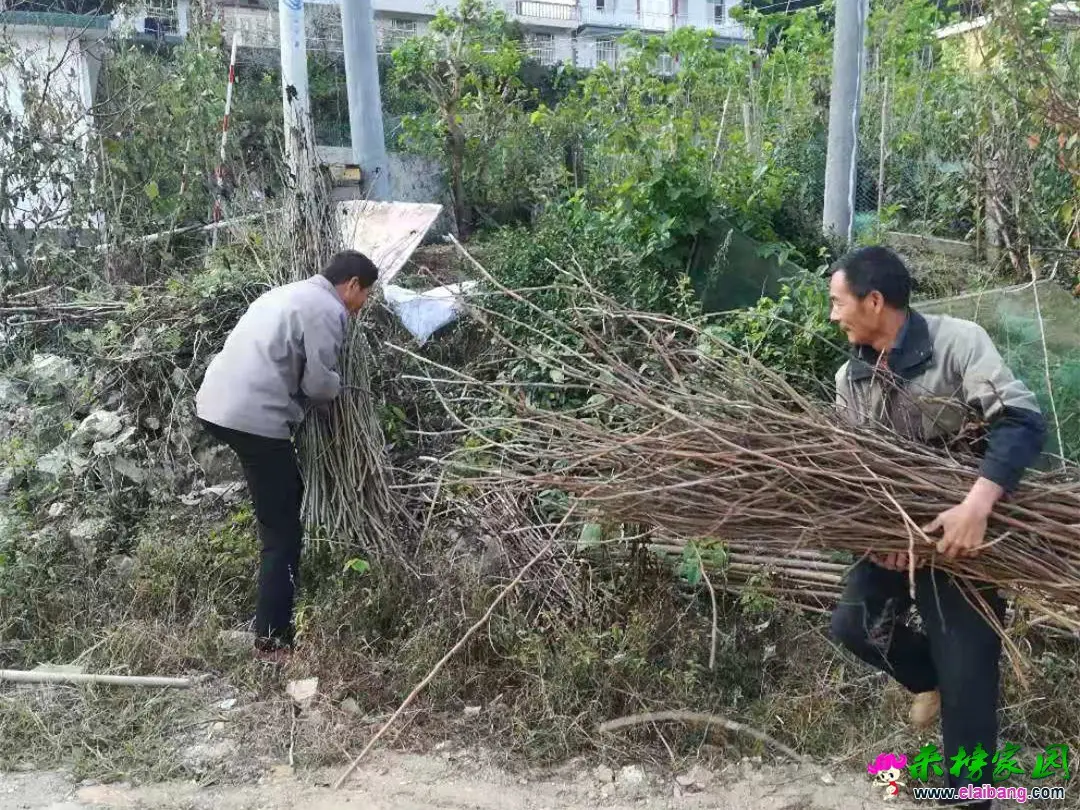 微信图片_20191015201238.webp