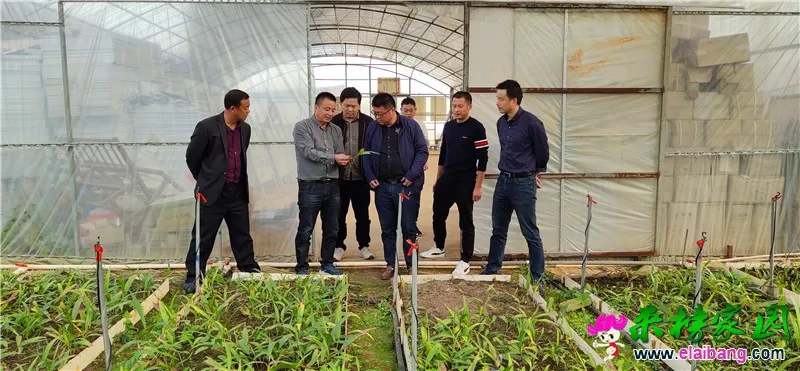 微信图片_20191016202226.webp