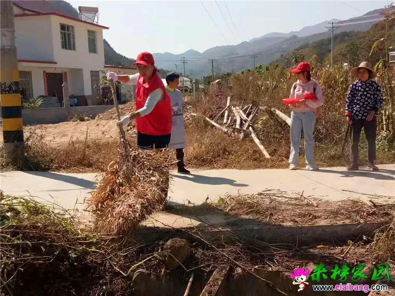 微信图片_20191020202440.webp